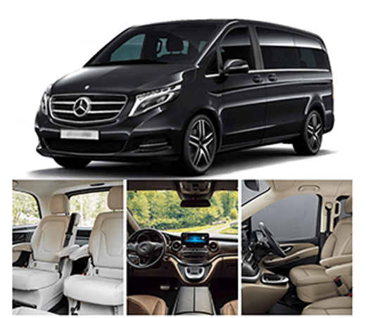 Mercedes Viano